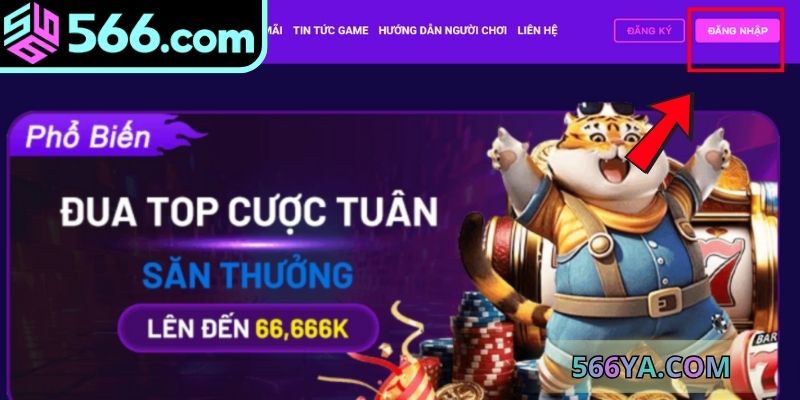 Các bước đăng nhập 566 nhanh chóng, an toàn